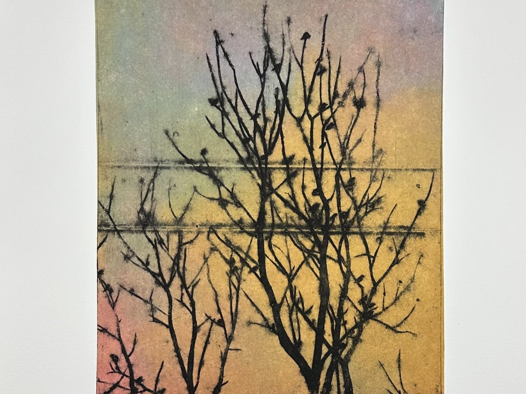 Sustainable Impressions: Rachel Mentzer’s Collagraphs with Kozo Paper