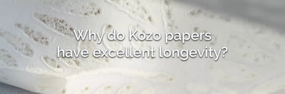 Why do Kozo papers have excellent longevity?
