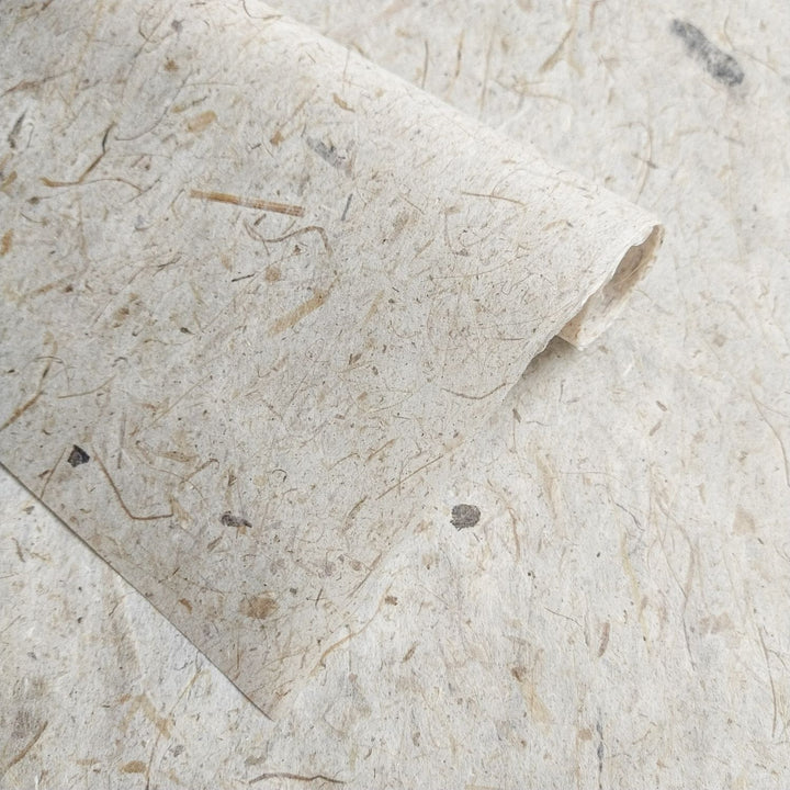 Kozo Studio's Banana Kozo paper with visible banana trunk fibers and mulberry texture, offering a warm, organic feel for handmade paper art.