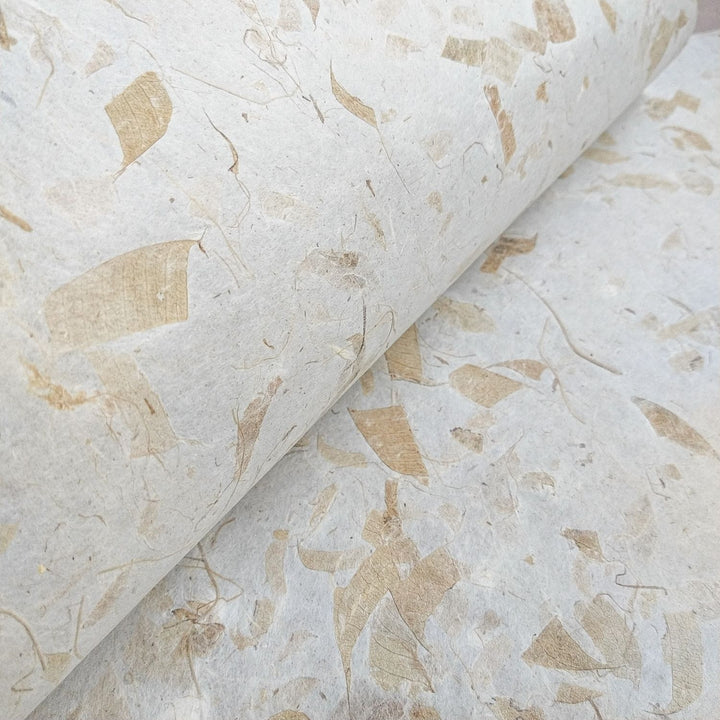 A close-up of rolled Mango Leaf Kozo Paper by Kozo Studio features a handmade texture, light beige color, and natural mulberry paper appearance with tan mango leaves.