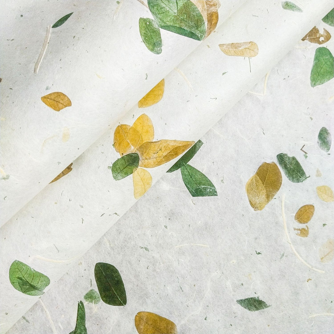 Raintree Kozo handmade paper by Kozo Studio featuring embedded green and yellow raintree leaves on delicate mulberry paper, partially rolled for display.