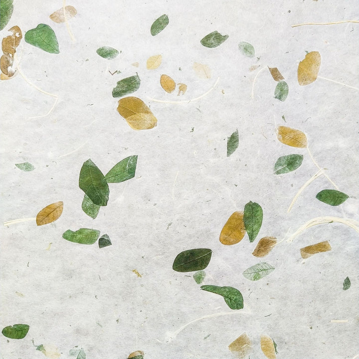 Decorative mulberry paper with natural raintree leaves embedded, crafted by Kozo Studio as part of their handmade paper collection, partially unrolled for texture detail.