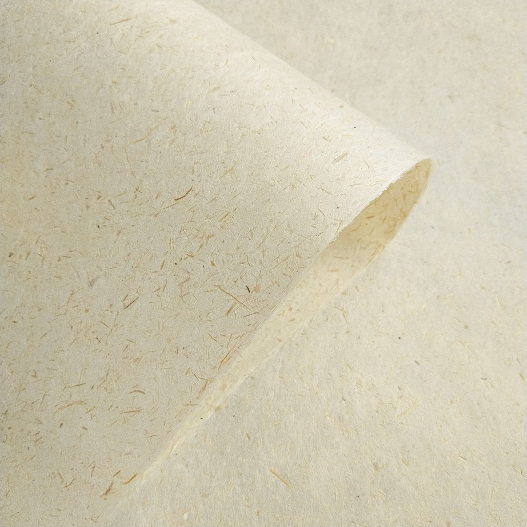 Kozo Studio sugarcane paper crafted with kozo pulp and bagasse, photographed in detail to show its natural texture and flexible handmade quality.