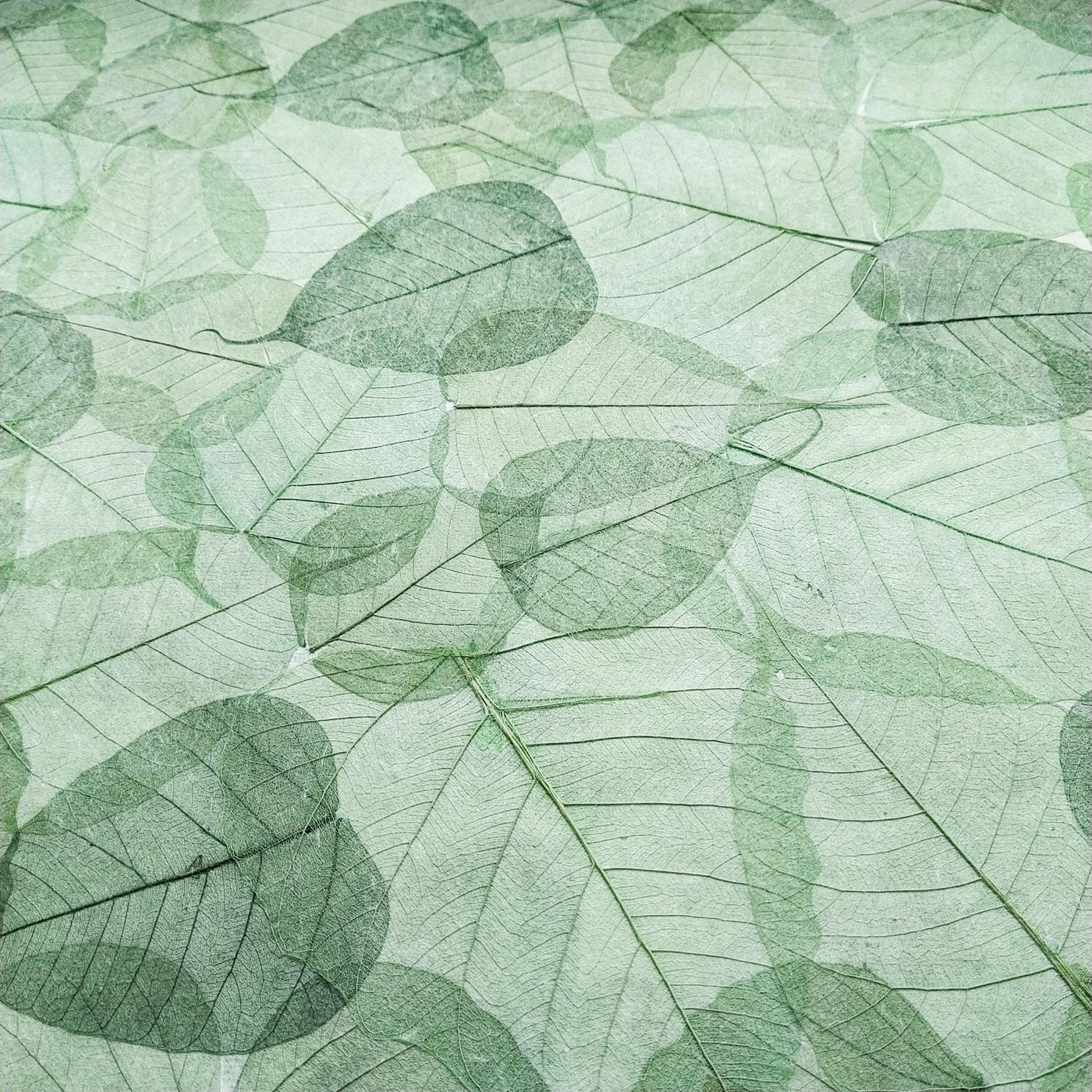 Handmade Buddha Leaf Mulberry Paper (Green)