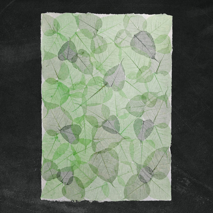 Handmade paper featuring bodhi leaf skeletons on mulberry base from Kozo Studio, ideal for wrapping, collage, or lampshades.