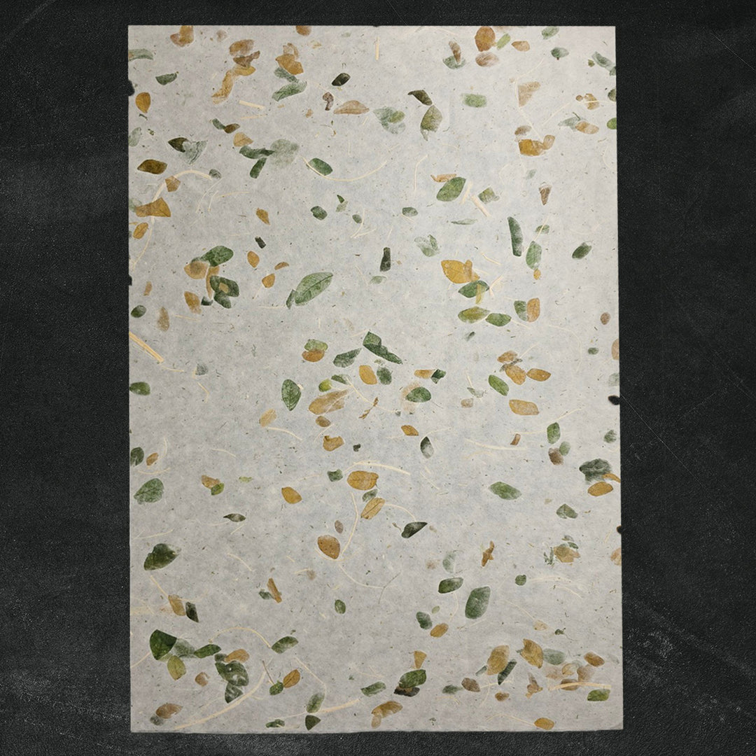 Beautifully textured mulberry paper from Kozo Studio, known as Raintree Kozo, with natural leaf inclusions and a semi-translucent handmade paper finish.