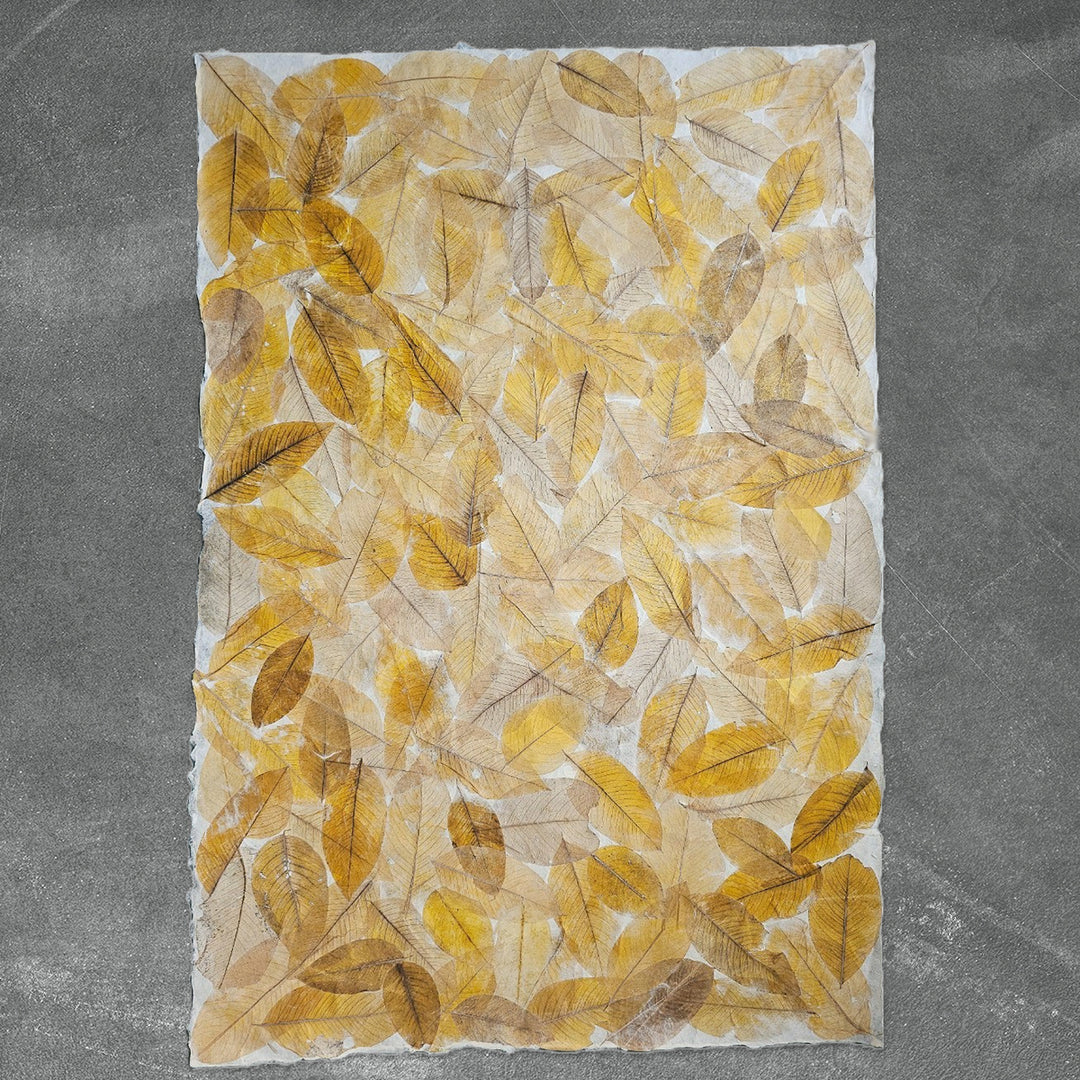 Handmade Cassia Leaf Kozo Paper by Kozo Studio features pressed yellow and brown leaves on gray mulberry paper, with scattered cassia leaves creating a textured, natural pattern that highlights its exquisite craftsmanship.
