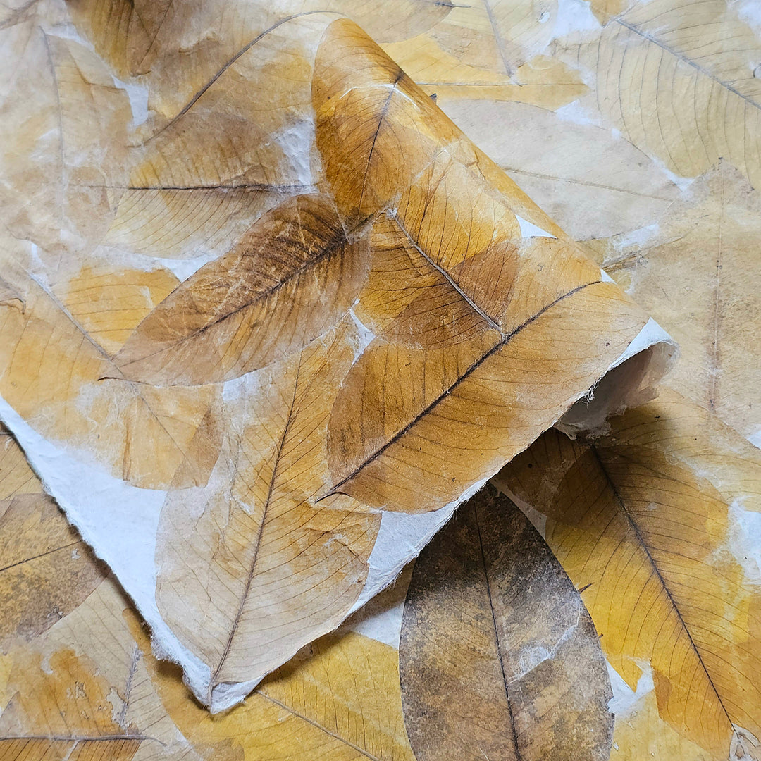 The Handmade Cassia Leaf Kozo Paper by Kozo Studio features a textured surface with layered golden-brown cassia leaves, some partially curled, evoking an autumnal feel. The leaves form an earthy pattern on a light background, reminiscent of handmade mulberry paper.