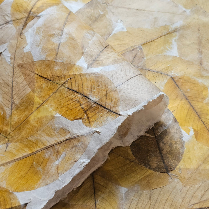 Close-up of Handmade Cassia Leaf Kozo Paper by Kozo Studio, featuring textured mulberry paper with embedded pressed cassia leaves in shades of brown and yellow, forming an organic pattern. A curled corner reveals its thin, fibrous nature and handmade quality.