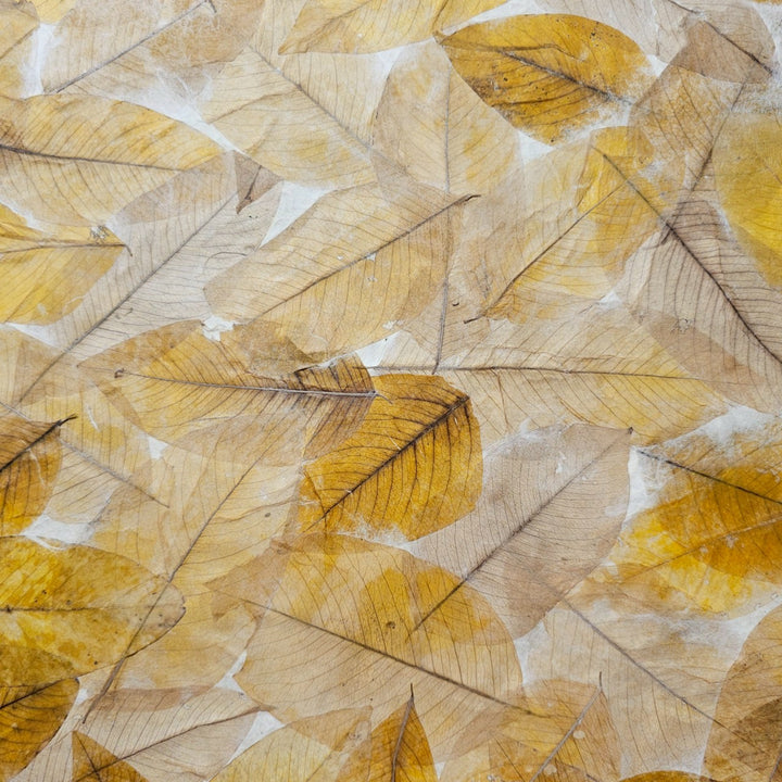 The Handmade Cassia Leaf Kozo Paper from Kozo Studio features a textured pattern of translucent, dried cassia leaves in overlapping shades of brown and yellow, creating an intricate and natural design reminiscent of the handmade quality found in mulberry paper.