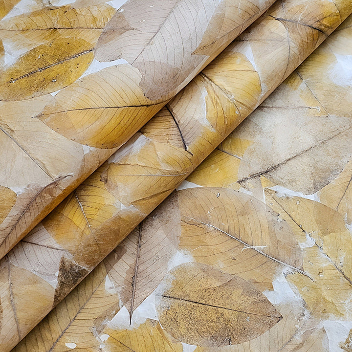 A close-up of Handmade Cassia Leaf Kozo Paper by Kozo Studio displays yellow-brown cassia leaves embedded in lightweight mulberry paper. The overlapping leaves form a textured pattern with visible veins and stems against a light backdrop, highlighting nature-inspired design.