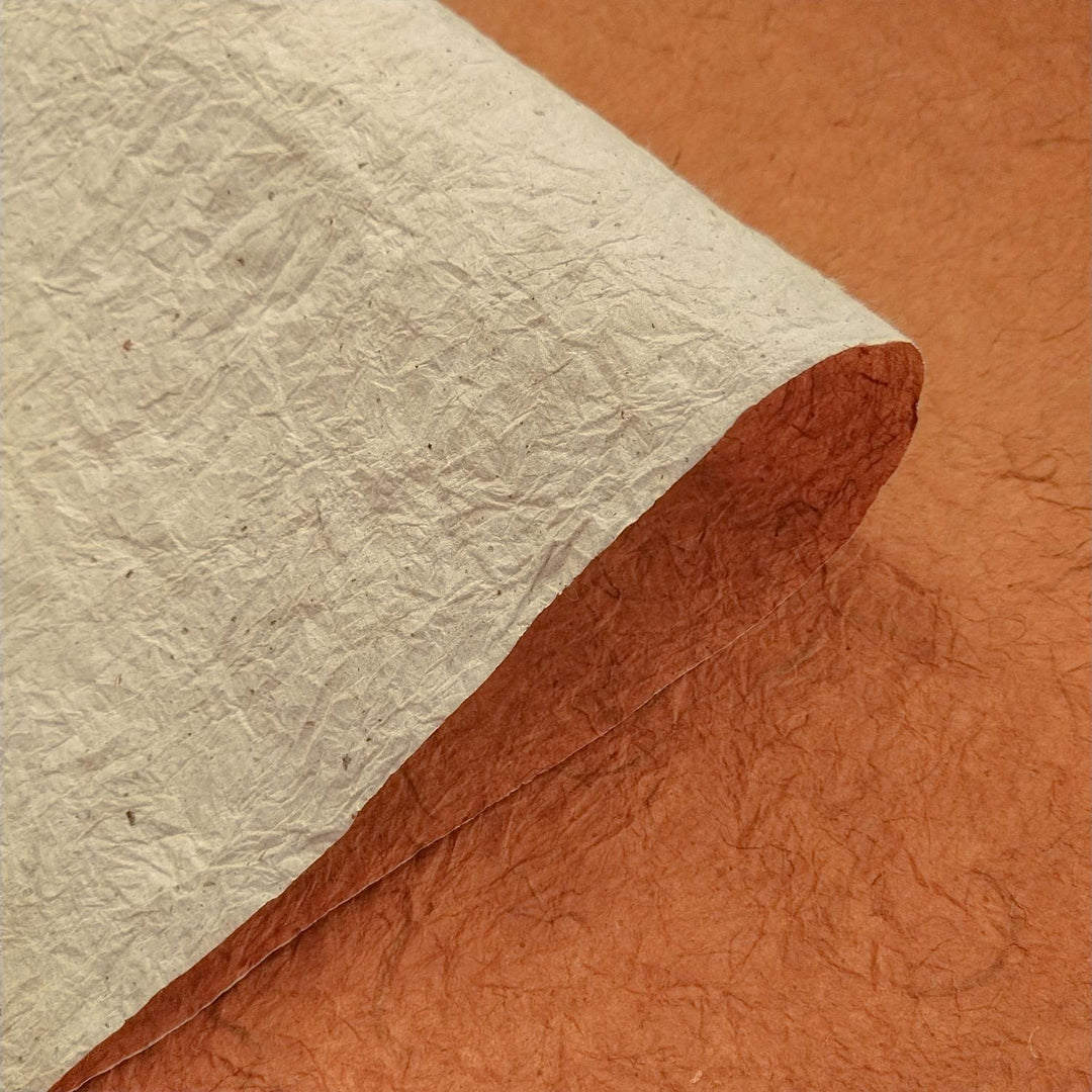 Double-sided Momigami Kozo Paper from Kozo Studio lies partially curled, revealing its fibrous handmade mulberry texture in natural and brown tones.