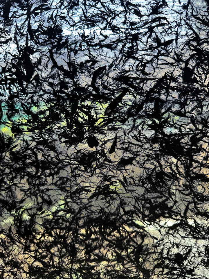Translucent black handmade paper made from mulberry fibers at Kozo Studio, blending strength and elegance with floating fiber textures for refined artistic expression.