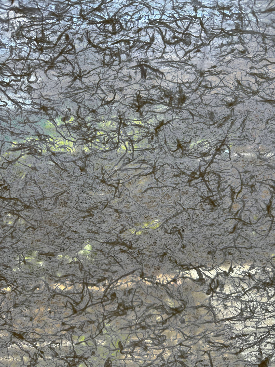 Textured mulberry handmade paper from Kozo Studio with light-filtering properties and smooth finish, suited for elegant and creative applications.