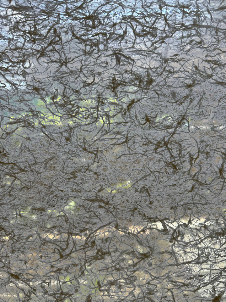 Textured mulberry handmade paper from Kozo Studio with light-filtering properties and smooth finish, suited for elegant and creative applications.