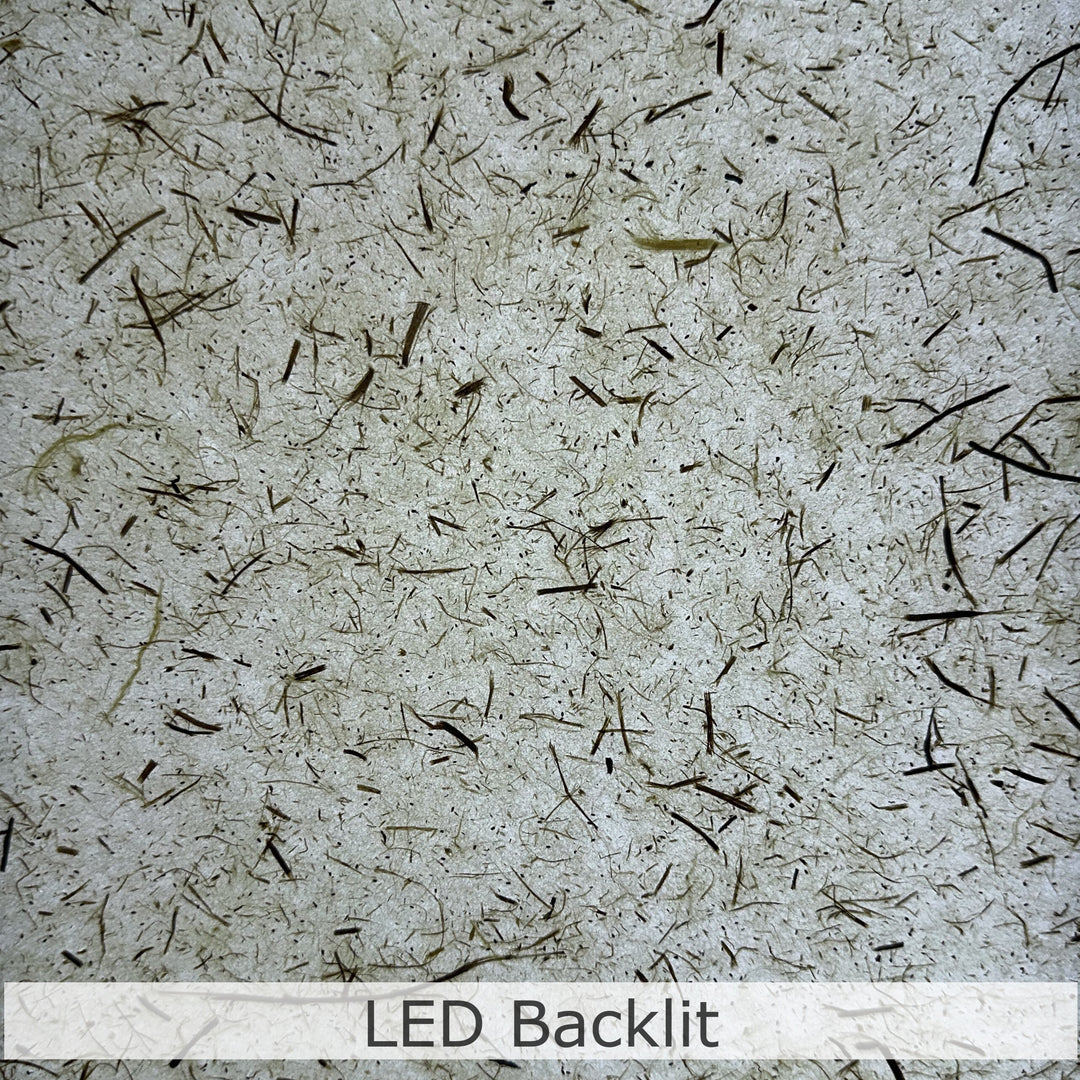 Papier kozo à feuilles de pin