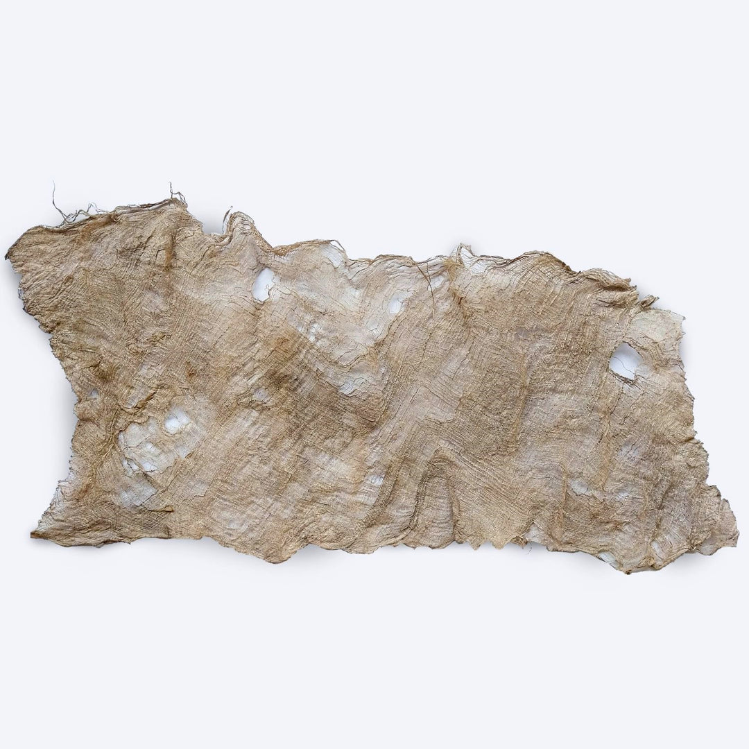 Flexi Mulberry Bark by Kozo Studio is a textured parchment with an irregular shape, frayed edges, and several holes. It has a natural tan color and a rough, uneven surface, giving it an aged or handmade quality.