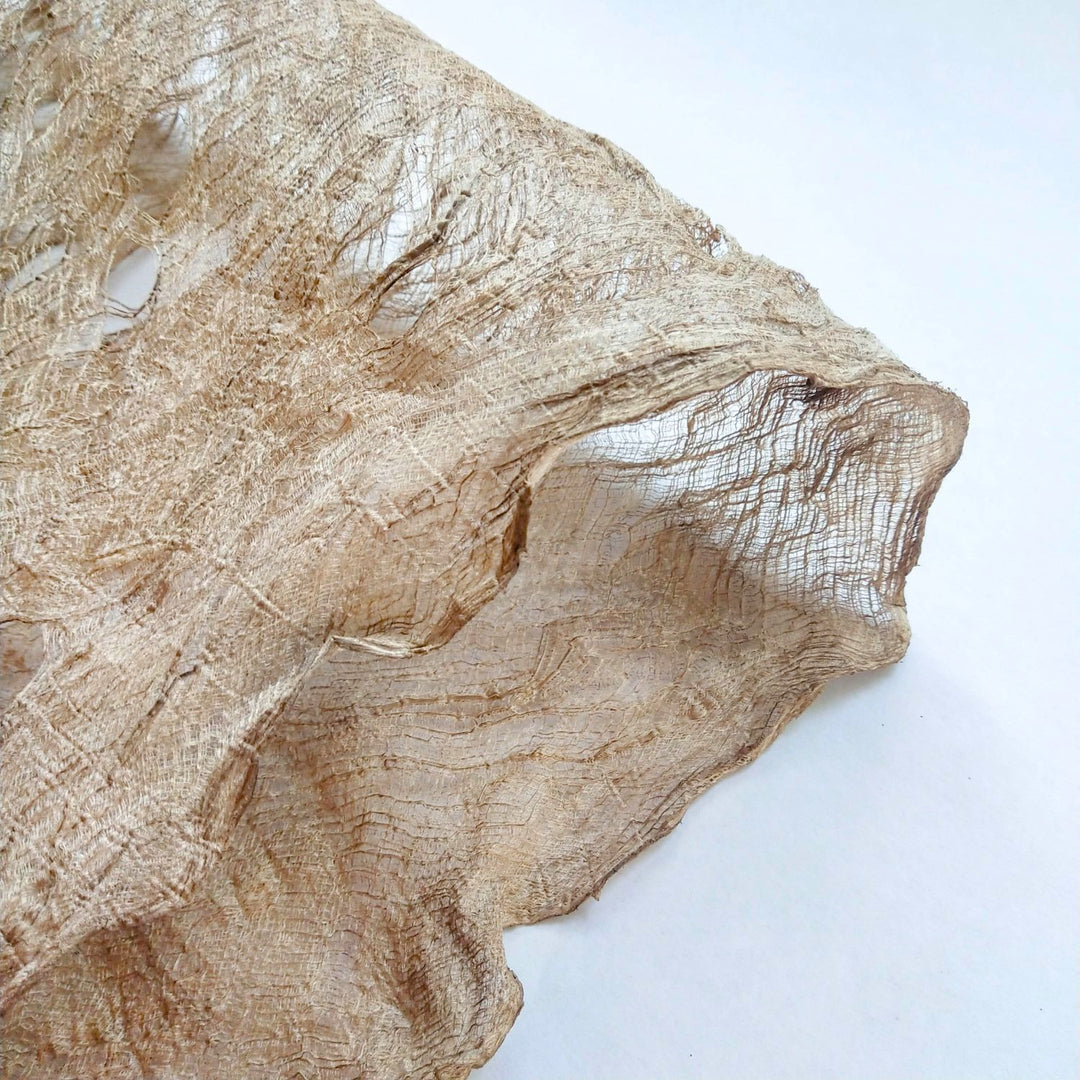 Close-up of Flexi Mulberry Bark by Kozo Studio, showcasing its textured, translucent beige fabric with an irregular, crinkled surface. This lightweight and delicate material features visible fibers and a wavy edge against a plain light background.