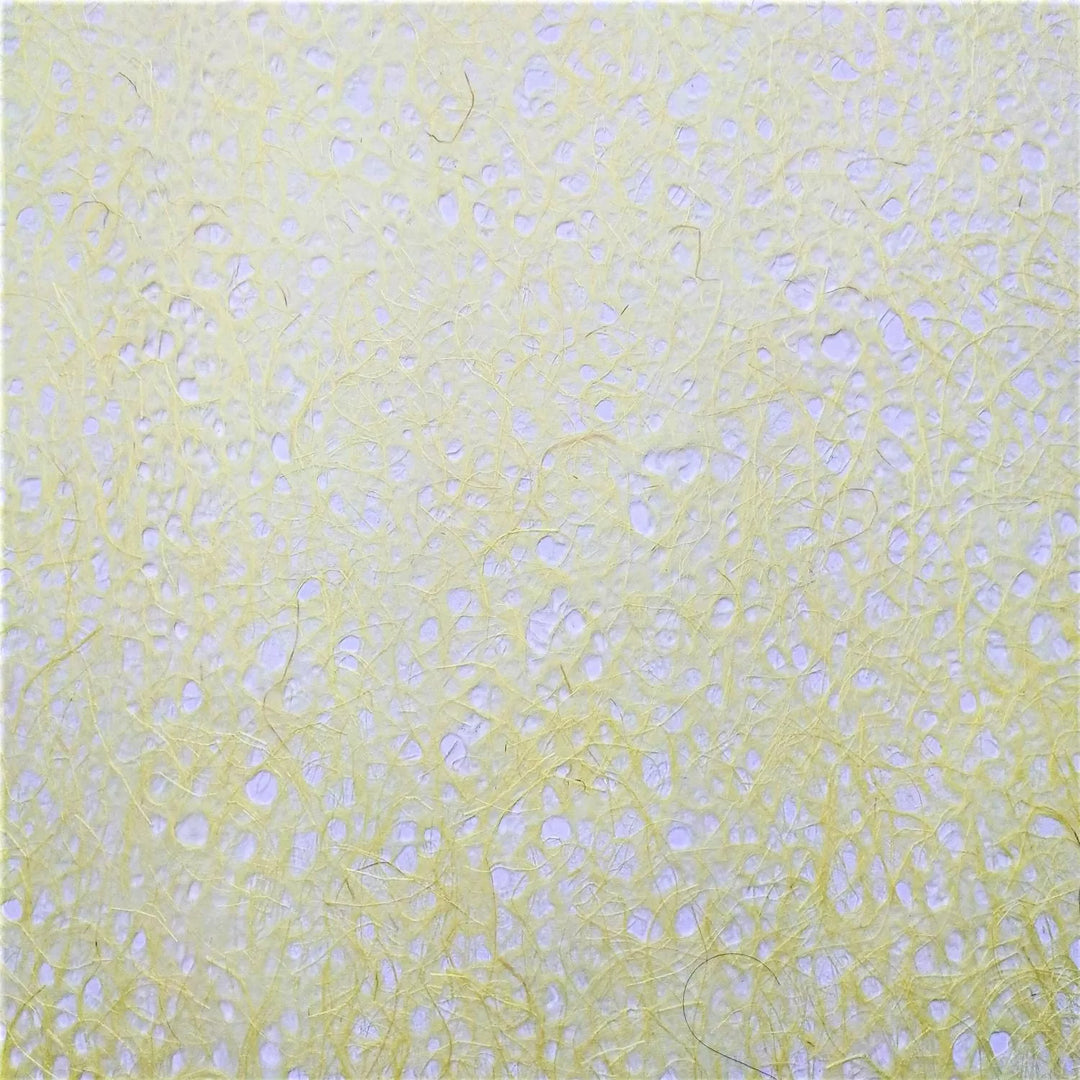 Detailed view of a rolled sheet of Asarakusui Lace Paper in yellow from Kozo Studio, featuring the intricate fiber pattern and airy feel of traditional mulberry handmade paper.