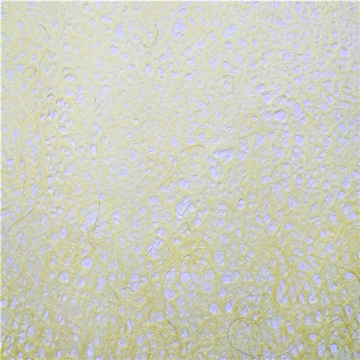 Detailed view of a rolled sheet of Asarakusui Lace Paper in yellow from Kozo Studio, featuring the intricate fiber pattern and airy feel of traditional mulberry handmade paper.