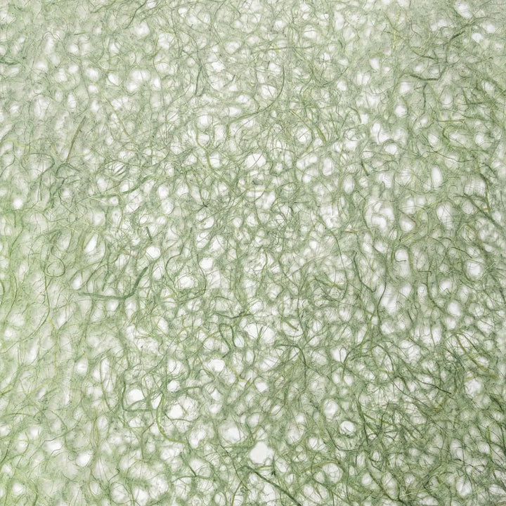 Detail shot of fibrous mulberry paper from Kozo Studio highlighting the handcrafted texture and organic green patterns of Asarakusui Lace Paper.