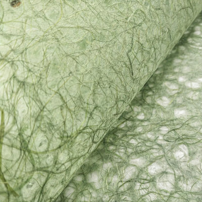 Asarakusui Lace Paper (Moss)