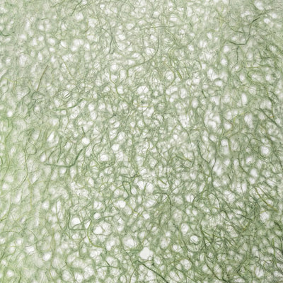 Asarakusui Lace Paper (Moss)