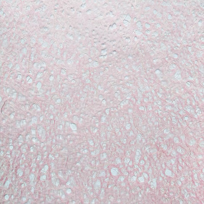 Asarakusui Lace Paper (Pink)