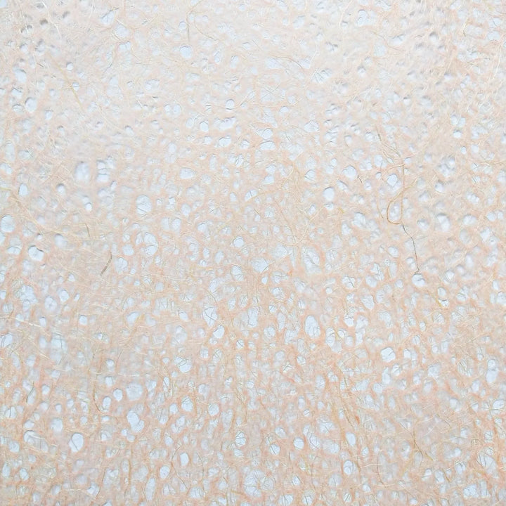 Detailed image of handmade mulberry paper from Kozo Studio, highlighting the semi-translucent Asarakusui Lace Paper in Old Rose with intricate fibers.