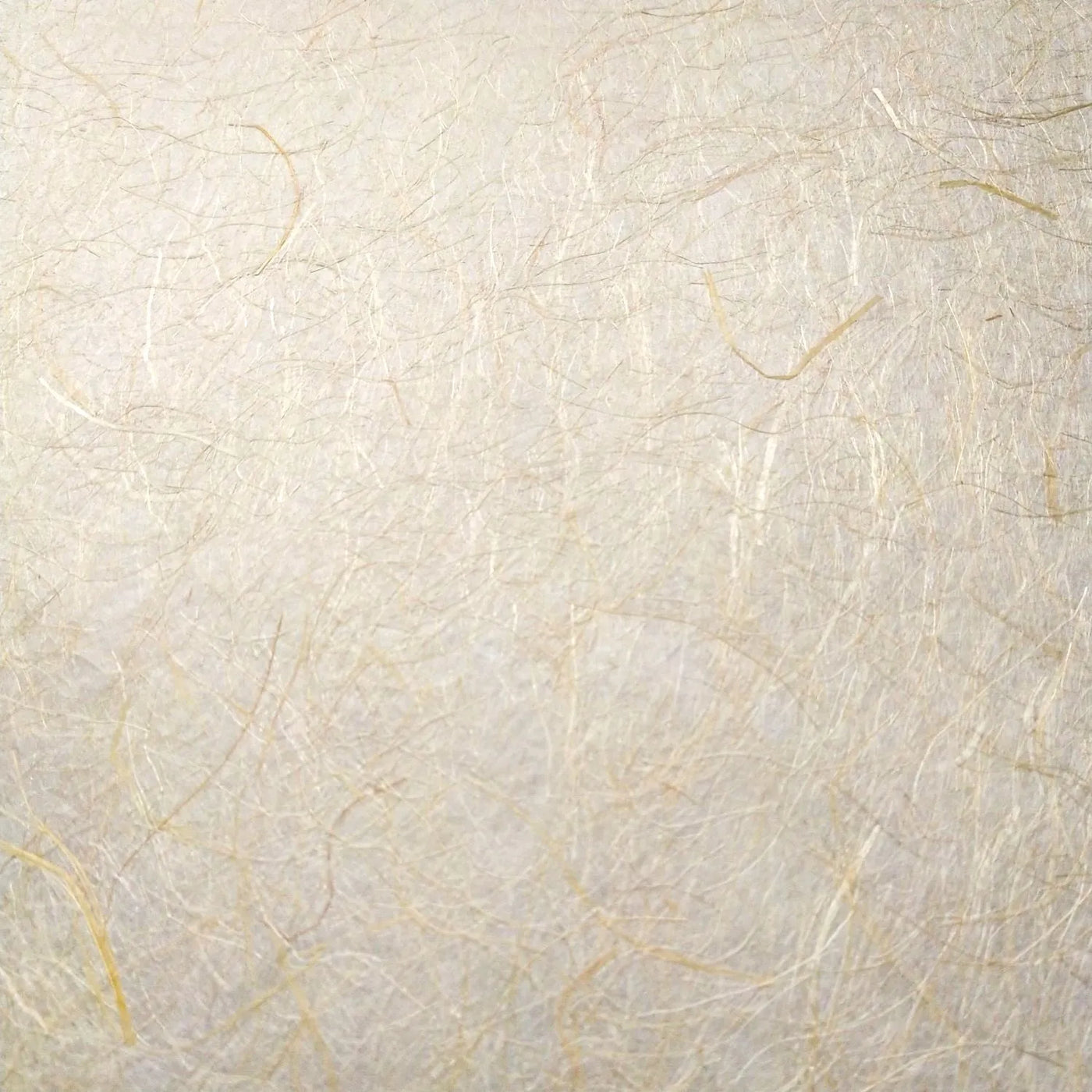 Kinwashi (Natural Abaca Paper), Kozo Studio