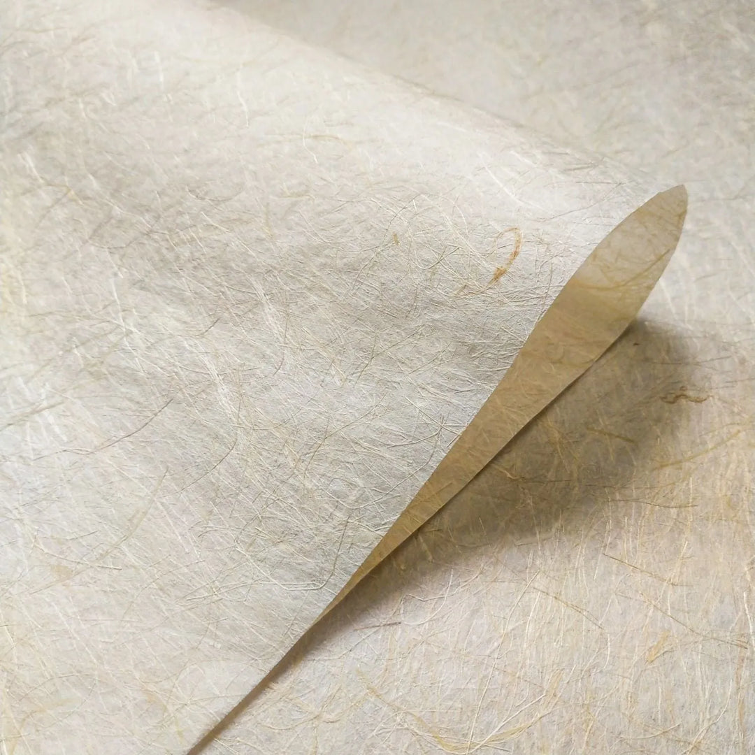 A close-up of Kinwashi (Natural Abaca Paper) by Kozo Studio showcases visible kozo pulp fibers and beige imperfections on this textured, handcrafted sheet. One corner curls slightly, forming a smooth, gentle arch.