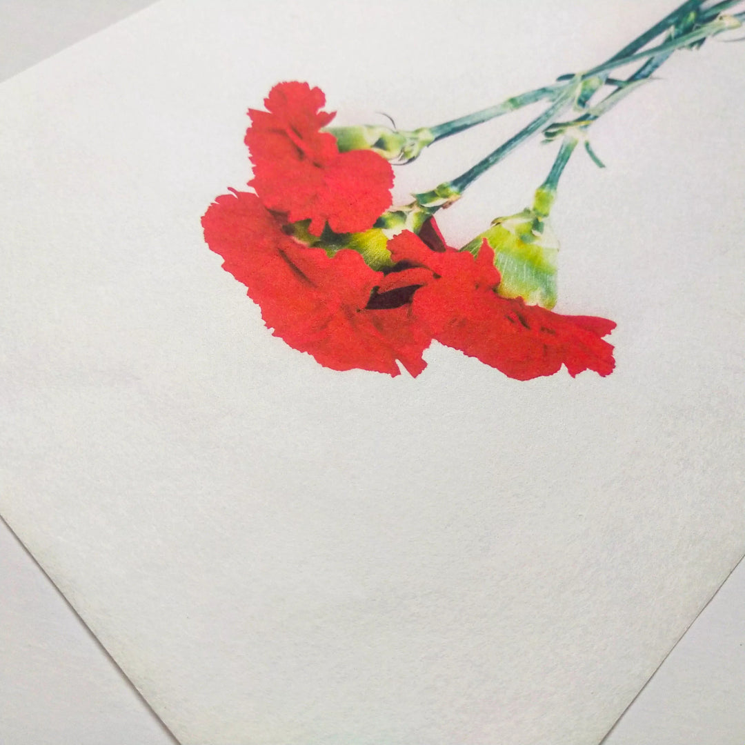 A close-up of three vivid red carnations with green stems printed on Kozo Studio’s eco-friendly A4 Decoupage Plain Mulberry Paper (30 gsm, 40 sheets), highlighting excellent ink absorption and displayed diagonally on a white surface.
