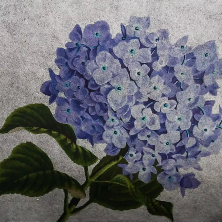 Illustration of purple hydrangeas with green leaves on a textured gray backdrop, echoing the delicate look of Mulberry Paper. The florals exude subtle blue and purple hues for a soft, vibrant appearance. Ideal for printing on Kozo Studios A4 Extra Thin White Kozo Paper (10 sheets, 25 gsm).
