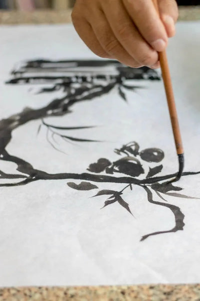 Catalog: Discover your favorite Kozo papers – Kozo Studio