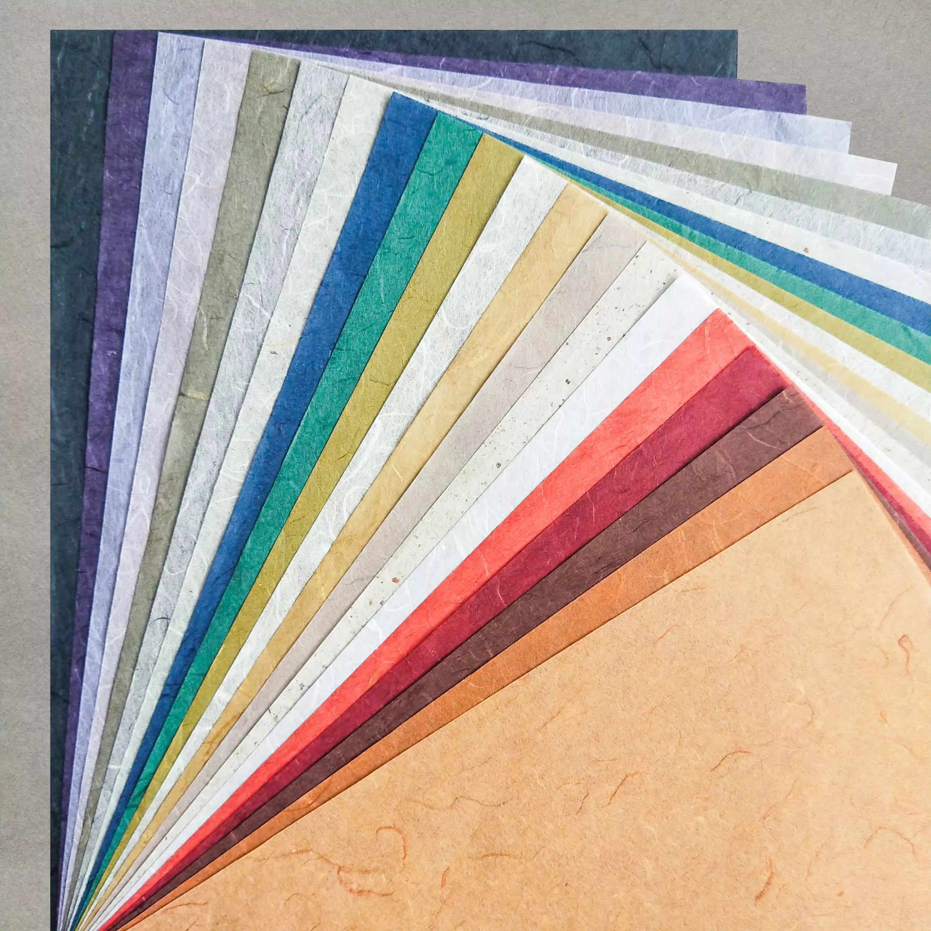 Multicolor – Kozo Studio