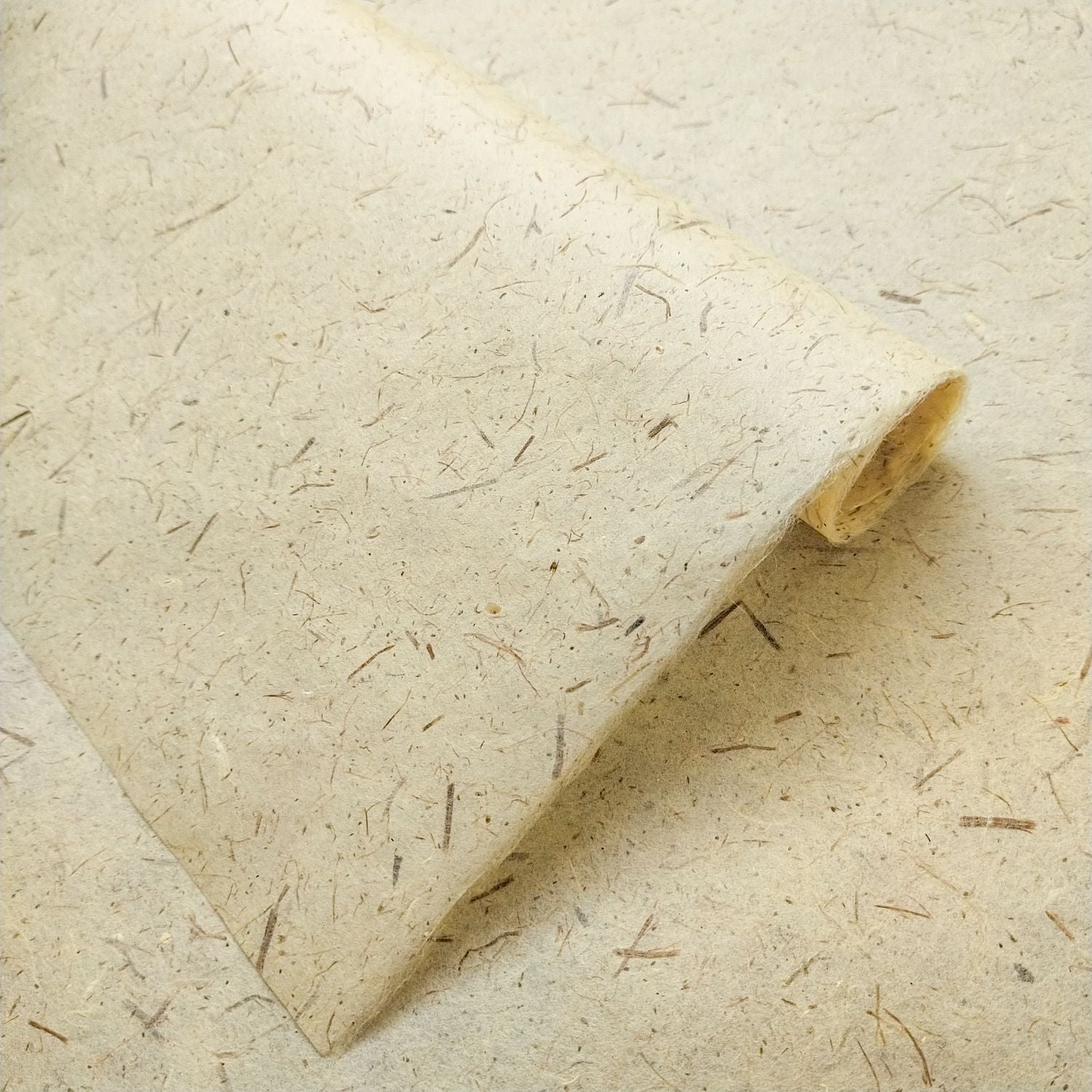 ペパーミント ショートファラオ　刺繍 Pine Leaf Kozo Paper | Mulberry Paper by Kozo Studio