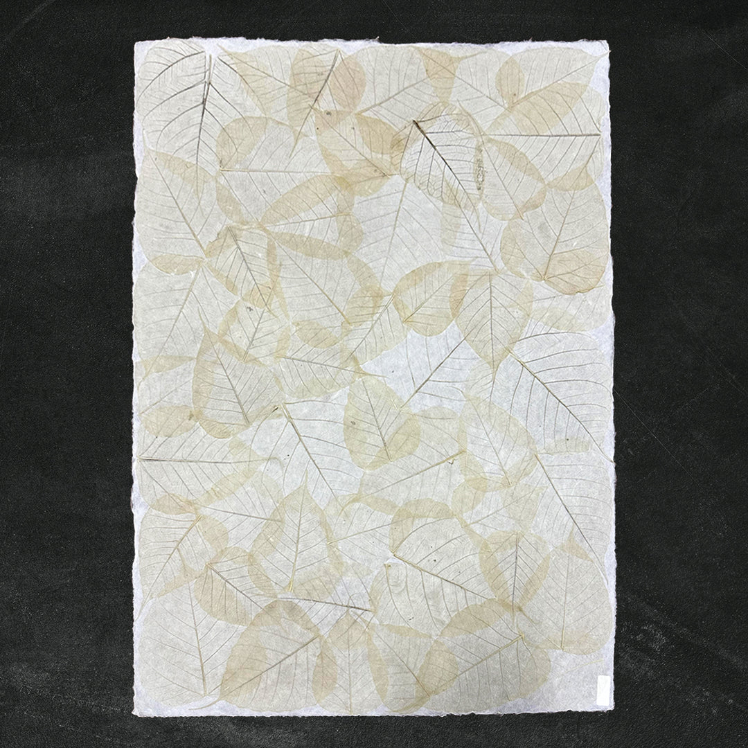 The Handmade Buddha Leaf Kozo Paper (Natural) by Kozo Studio features overlapping, translucent bodhi leaves with visible veins on a dark background, showcasing the unique texture of handcrafted paper.