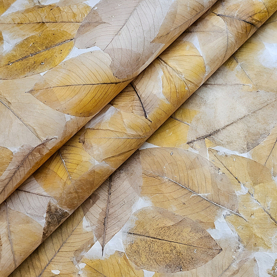 A close-up of Handmade Cassia Leaf Kozo Paper by Kozo Studio displays yellow-brown cassia leaves embedded in lightweight mulberry paper. The overlapping leaves form a textured pattern with visible veins and stems against a light backdrop, highlighting nature-inspired design.