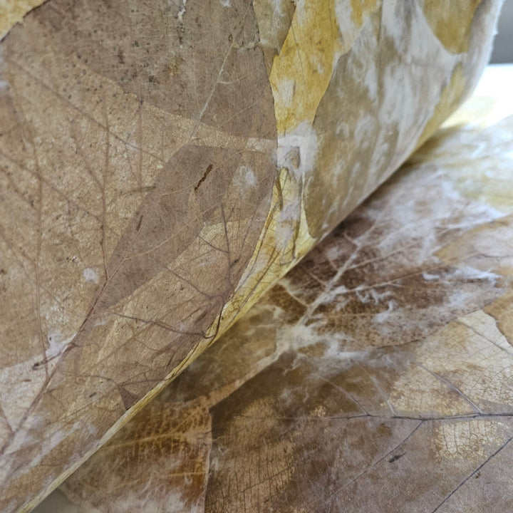 Handmade Teak Leaf Kozo Paper | Mulberry Paper by Kozo Studio