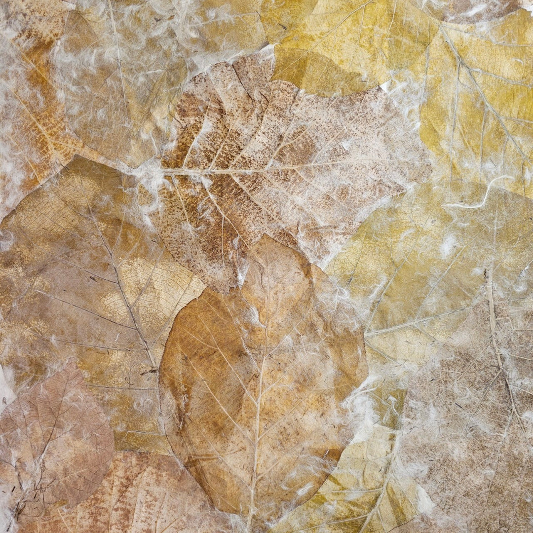 Handmade Teak Leaf Mulberry Paper – Kozo Studio